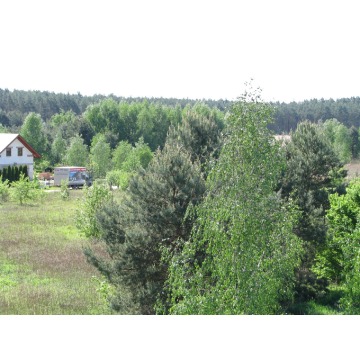 Działka budowlana Miodary sprzedam, pow. 2052 m2  (20.5a), uzbrojona - zdjęcie 8
