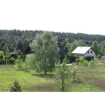 Działka budowlana Miodary sprzedam, pow. 2052 m2  (20.5a), uzbrojona - zdjęcie 9