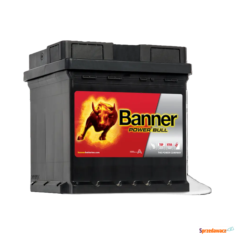 Akumulator 42Ah 390A EN Banner...