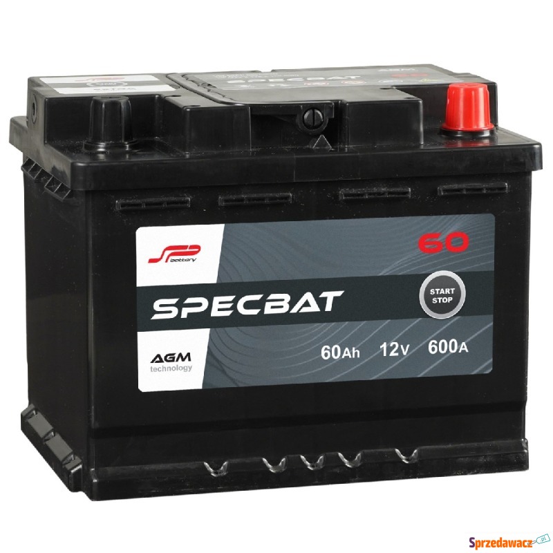 Akumulator AGM 60Ah 600A Specbat
