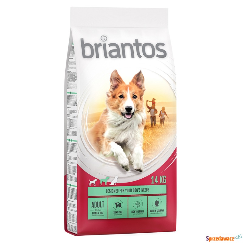 Dwupak Briantos - Adult, jagni...
