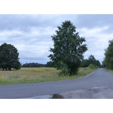 Działka rolno-budowlana Małomin sprzedam, pow. 88 500 m2  (8.85ha), uzbrojona - zdjęcie 2