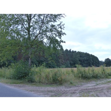 Działka rolno-budowlana Małomin sprzedam, pow. 88 500 m2  (8.85ha), uzbrojona - zdjęcie 3