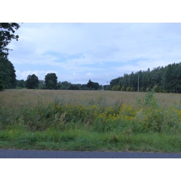 Działka rolno-budowlana Małomin sprzedam, pow. 88 500 m2  (8.85ha), uzbrojona - zdjęcie 4