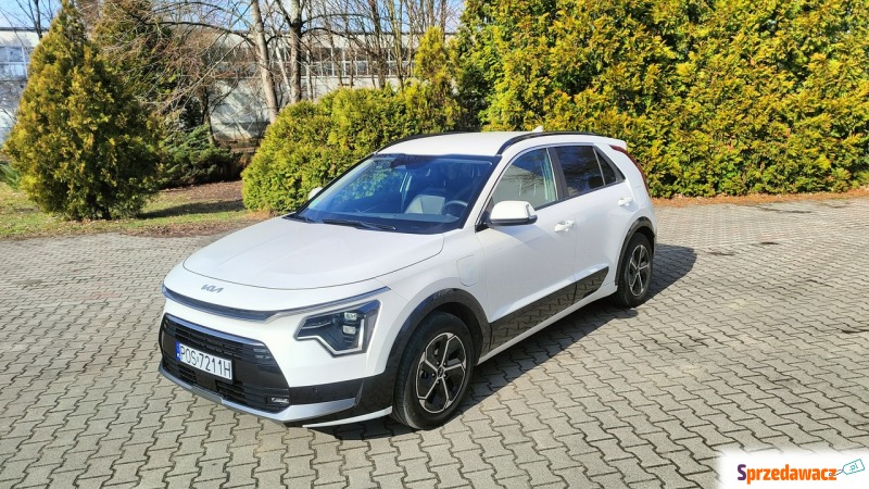 Kia Niro  Hatchback 2022,  1.6 hybryda, automat - Na sprzedaż za 111 900 zł - Ostrów Wielkopolski
