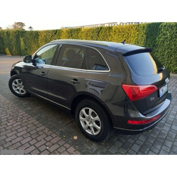Audi Q5  SUV 2009,  2.0 diesel - Na sprzedaż za 42 900 zł - Nowe - zdjęcie 3