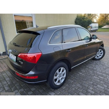 Audi Q5 - 2.0Tdi CR 6-Bieg 2xLedy Bi-Xenon Skóry Grz.Fotele Nawigacja Bezwypadek