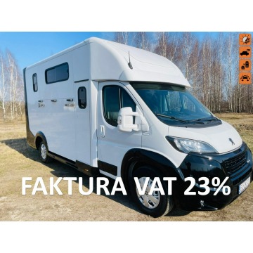 Koniowóz Peugeot Boxer, Zabudowa 2025r
