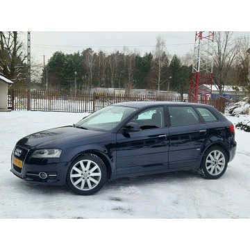 Audi A3  Hatchback 2011,  2.0 diesel - Na sprzedaż za 27 900 zł - Ostrów Mazowiecka - zdjęcie 3