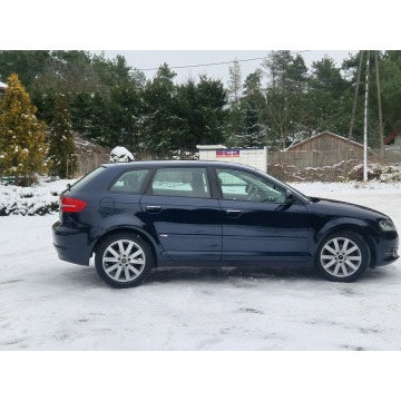 Audi A3  Hatchback 2011,  2.0 diesel - Na sprzedaż za 27 900 zł - Ostrów Mazowiecka - zdjęcie 8
