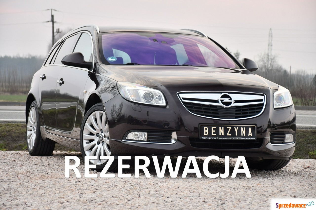 Opel Insignia 2013