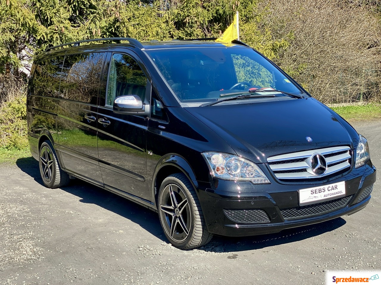 Mercedes Viano | Bogata wersja...