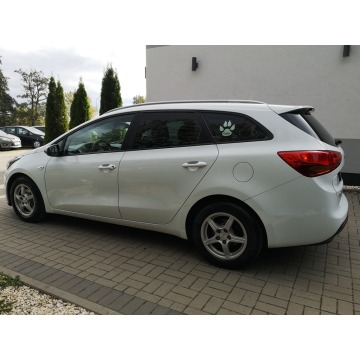 Kia Ceed 2013,  1.6 benzyna - Na sprzedaż za 38 900 zł - Strzegom - zdjęcie 8