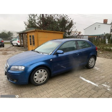 Audi A3  Liftback 2006,  1.6 benzyna - Na sprzedaż za 10 600 zł - Psary Małe - zdjęcie 9