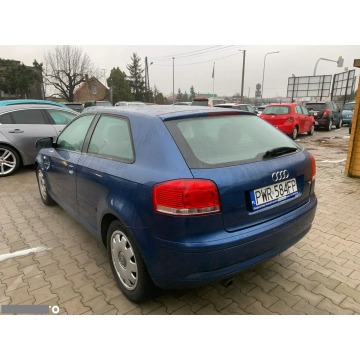 Audi A3  Liftback 2006,  1.6 benzyna - Na sprzedaż za 10 600 zł - Psary Małe - zdjęcie 8