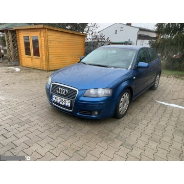 Audi A3  Liftback 2006,  1.6 benzyna - Na sprzedaż za 10 600 zł - Psary Małe - zdjęcie 10