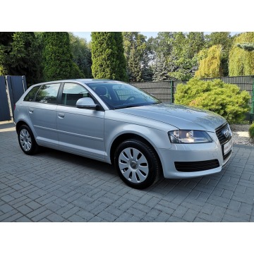 Audi A3 2009,  1.6 benzyna - Na sprzedaż za 29 900 zł - Strzegom - zdjęcie 4