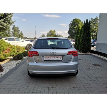 Audi A3 2009,  1.6 benzyna - Na sprzedaż za 29 900 zł - Strzegom - zdjęcie 7