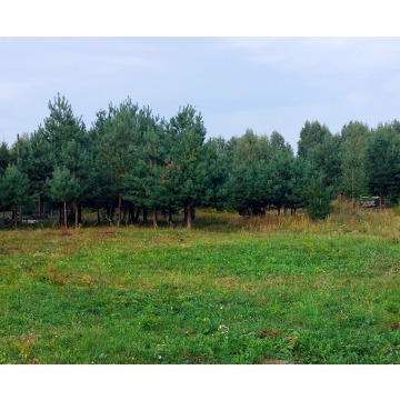 Działka budowlana Koplany sprzedam, pow. 963 m2  (9.6a), uzbrojona - zdjęcie 2