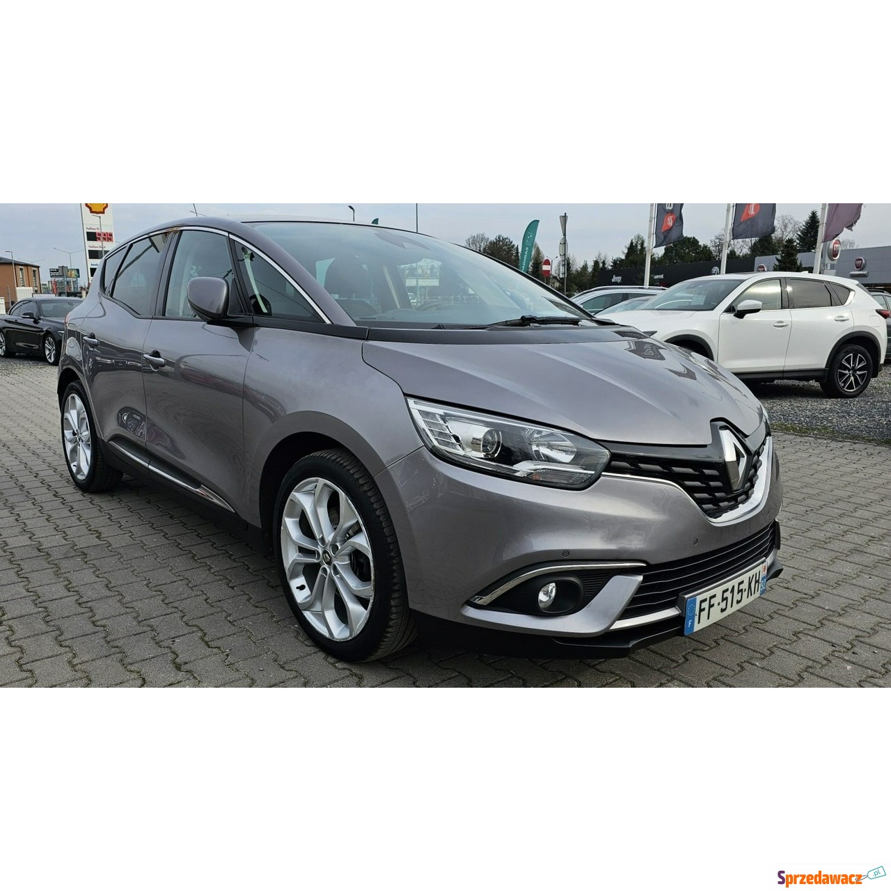 Renault Scenic 2019