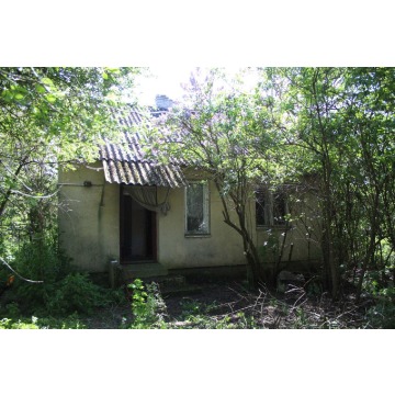 Działka budowlana Czernie sprzedam, pow. 4000 m2  (40a), uzbrojona - zdjęcie 5