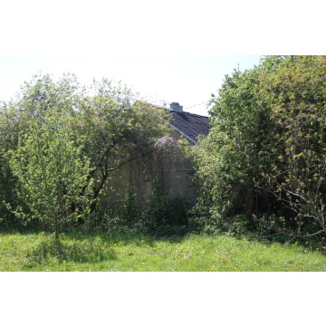 Działka budowlana Czernie sprzedam, pow. 4000 m2  (40a), uzbrojona - zdjęcie 10
