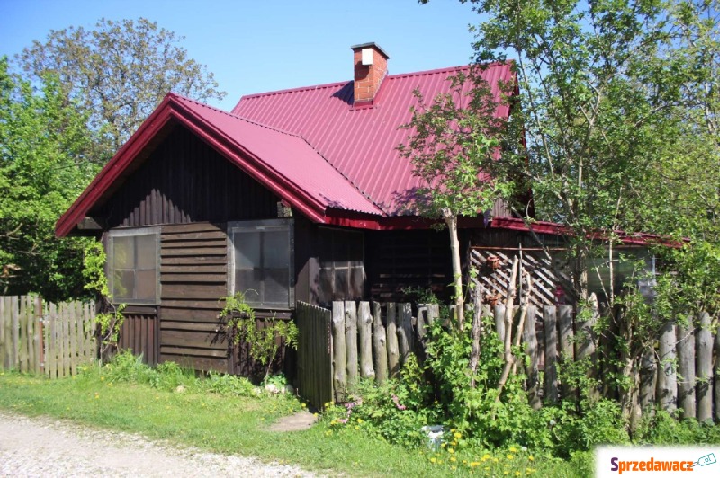 Działka budowlana Czernie sprzedam, pow. 4000 m2  (40a), uzbrojona