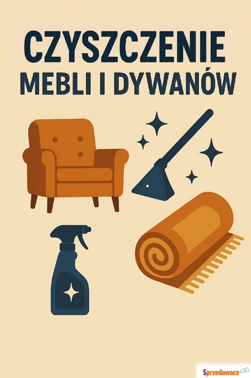 Czyszczenie dywanów i tapicerki...