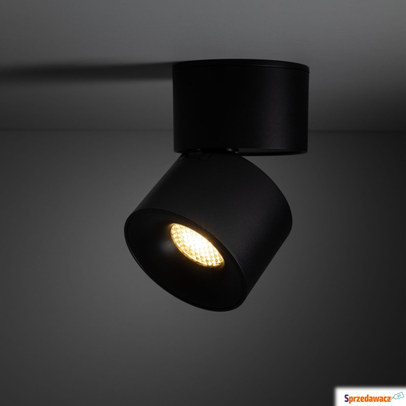 Spot SPARK BLACK CCT 18163