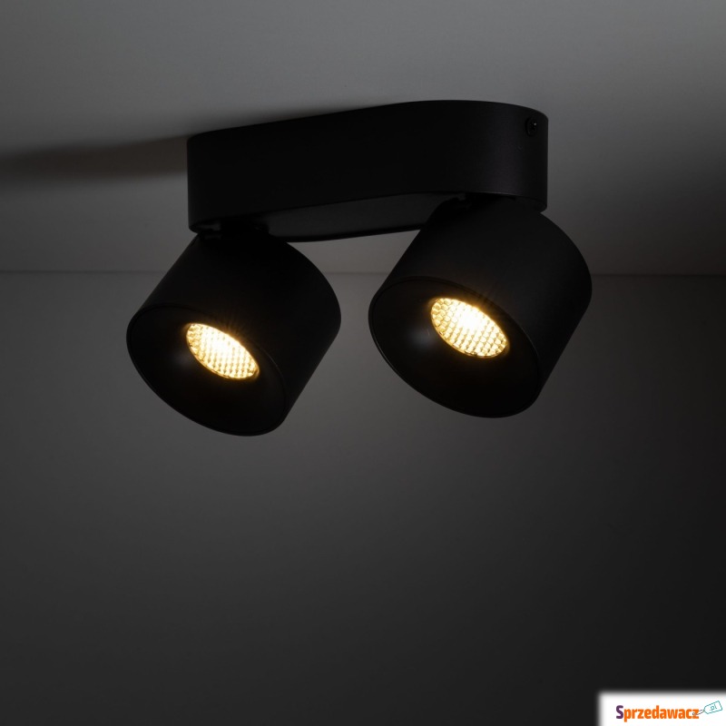Spot SPARK BLACK CCT 18164