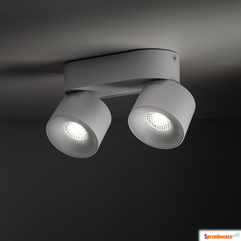 Spot SPARK WHITE CCT 18171