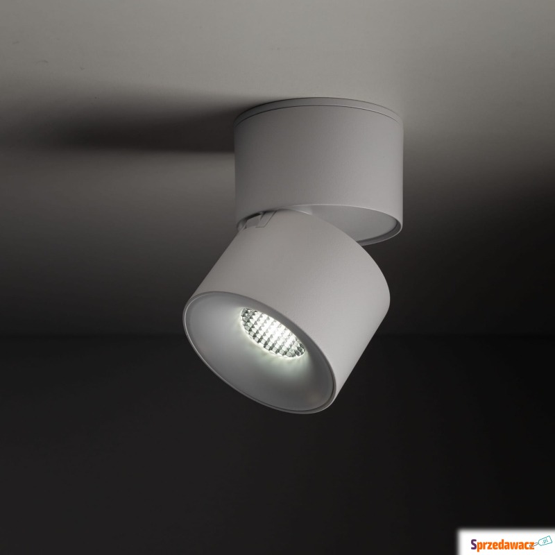 Spot SPARK WHITE CCT 18168