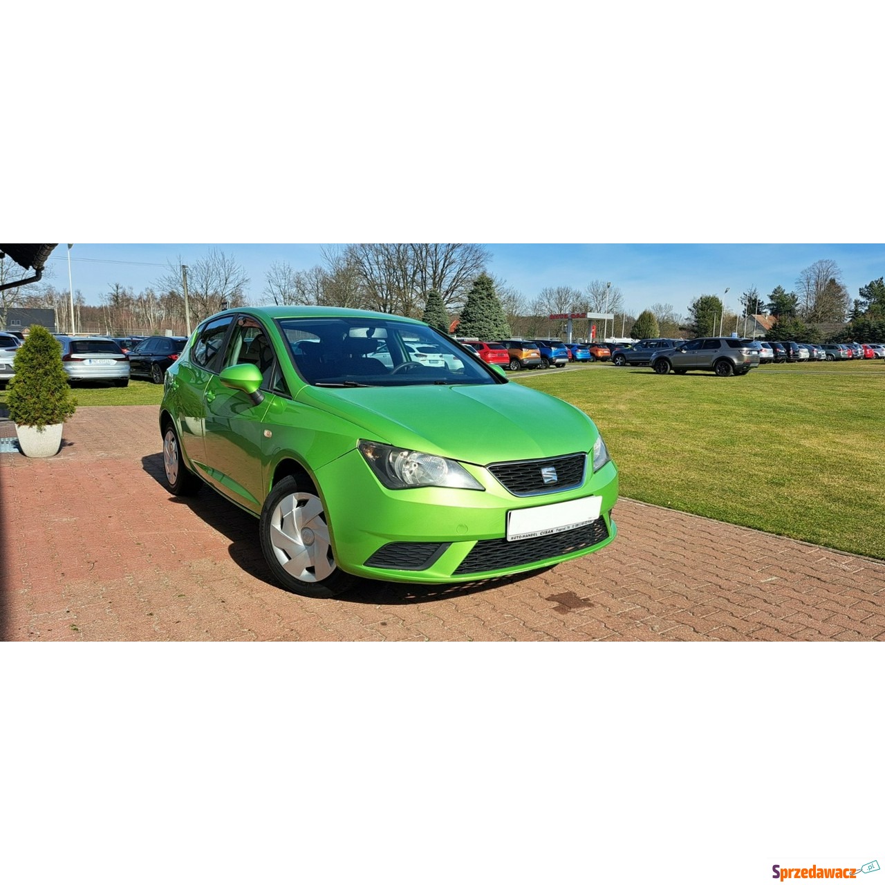 Seat Ibiza 2013