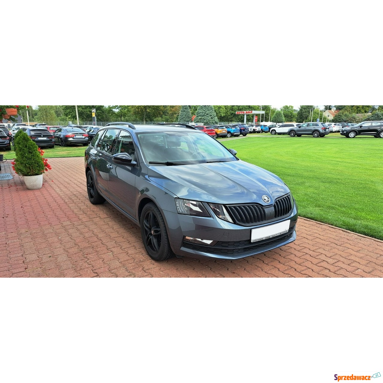 Skoda Octavia 2019