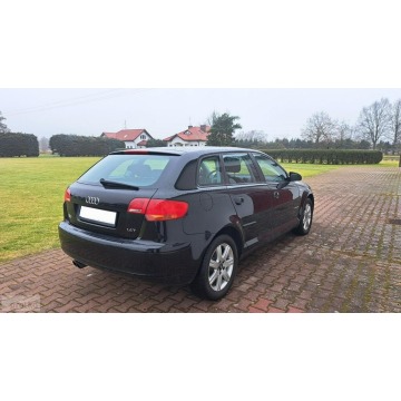 Audi A3  Hatchback 2008,  1.4 benzyna - Na sprzedaż za 23 800 zł - Paproć - zdjęcie 5