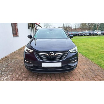 Opel Grandland X  Terenowy 2018,  1.5 diesel - Na sprzedaż za 58 800 zł - Paproć - zdjęcie 2