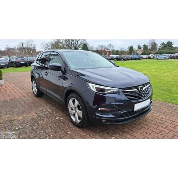 Opel Grandland X - Zarejestrowany