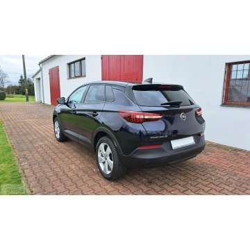 Opel Grandland X  Terenowy 2018,  1.5 diesel - Na sprzedaż za 58 800 zł - Paproć - zdjęcie 7