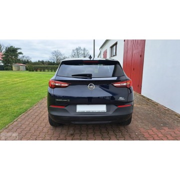 Opel Grandland X  Terenowy 2018,  1.5 diesel - Na sprzedaż za 58 800 zł - Paproć - zdjęcie 8