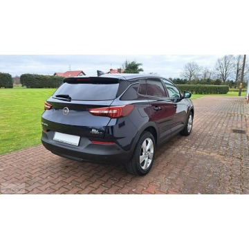 Opel Grandland X  Terenowy 2018,  1.5 diesel - Na sprzedaż za 58 800 zł - Paproć - zdjęcie 9