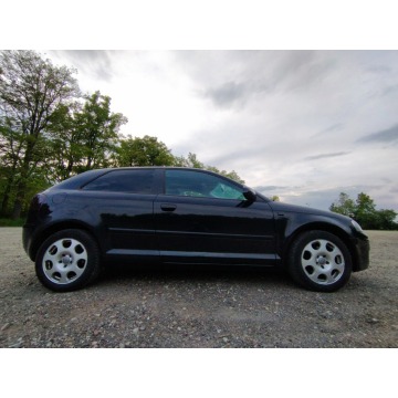 Audi A3  Hatchback 2008,  1.8 benzyna - Na sprzedaż za 8 900,00 zł - Wałbrzych - zdjęcie 6