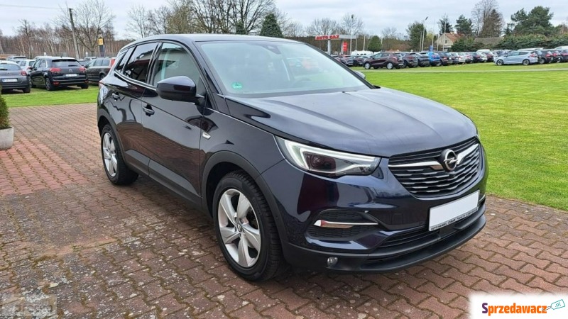 Opel Grandland X  Terenowy 2018,  1.5 diesel - Na sprzedaż za 58 800 zł - Paproć