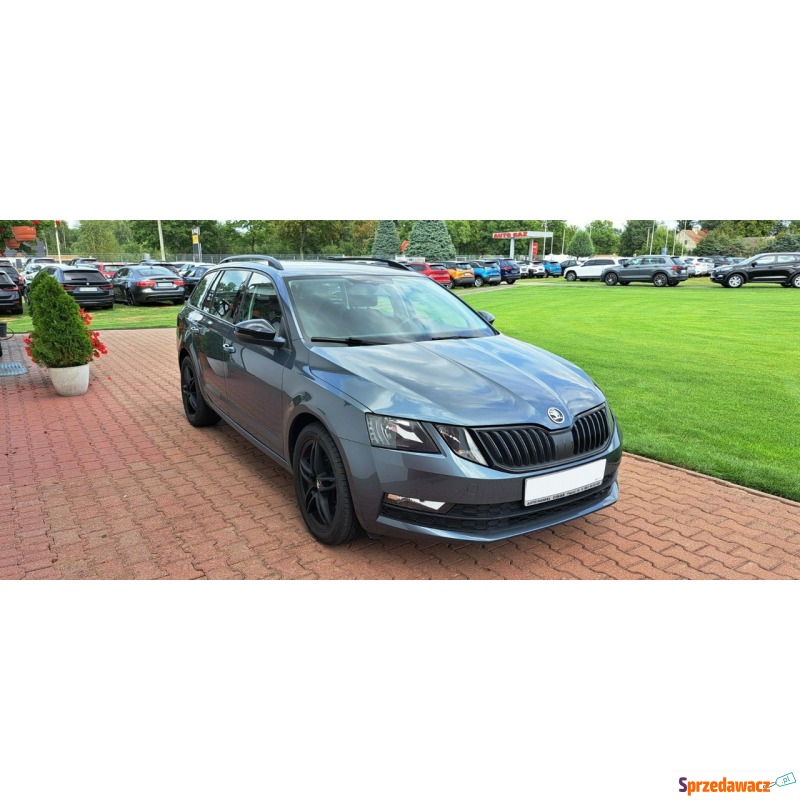 Skoda Octavia 2019,  1.5 benzyna, automat - Na sprzedaż za 67 800 zł - Paproć