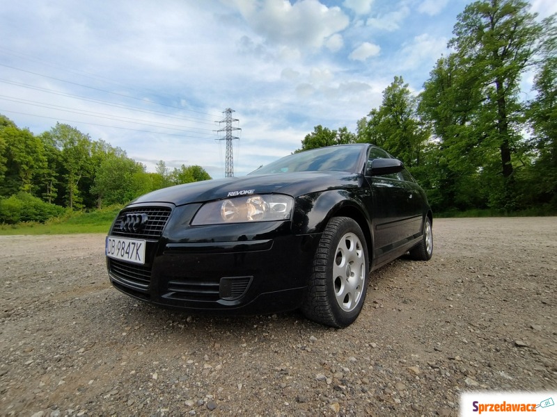 Audi A3  Hatchback 2008,  1.8 benzyna - Na sprzedaż za 8 900,00 zł - Wałbrzych
