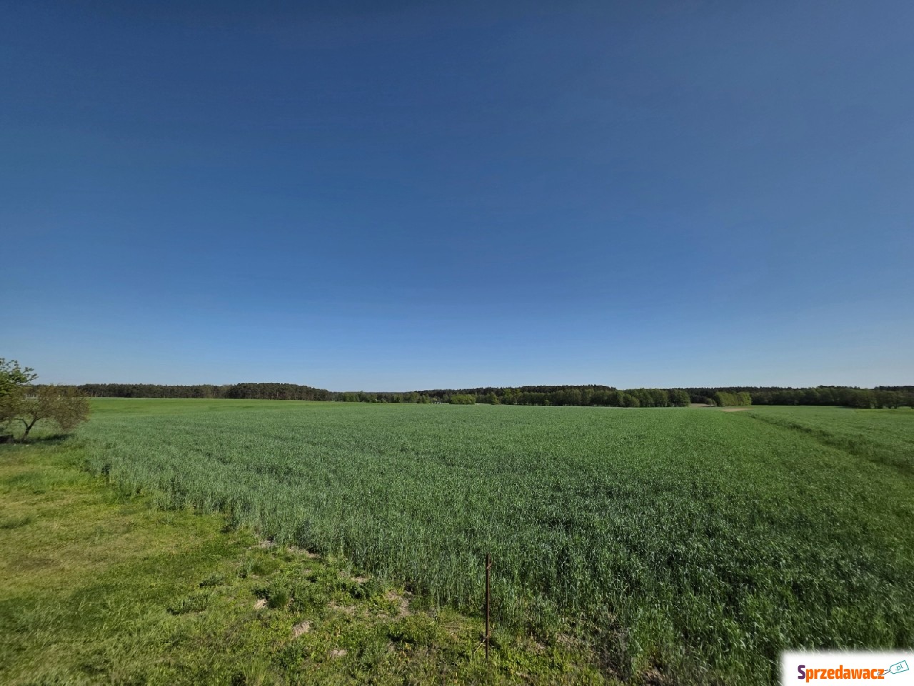 Działki budowlane w spokojnej...