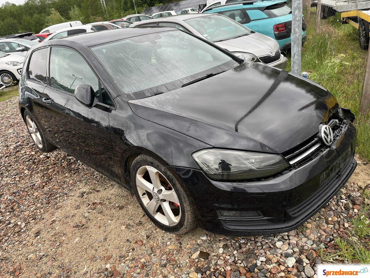 Volkswagen Golf 2013