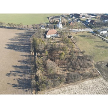 Sprzedam dom Radłów - ,  pow.  1200 m2,  działka:   11 300 m2 - zdjęcie 2