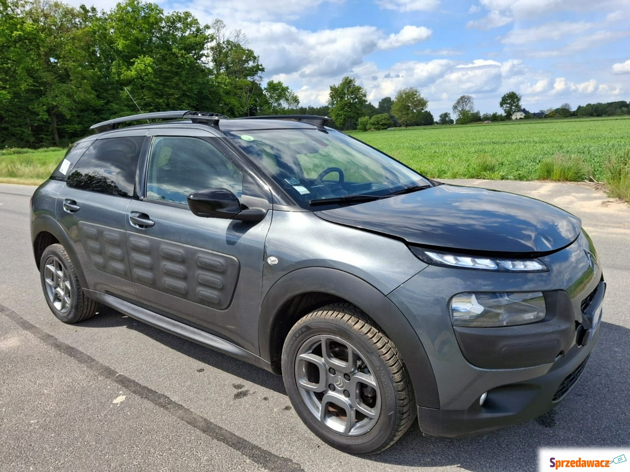 Citroen C4 Cactus 2017