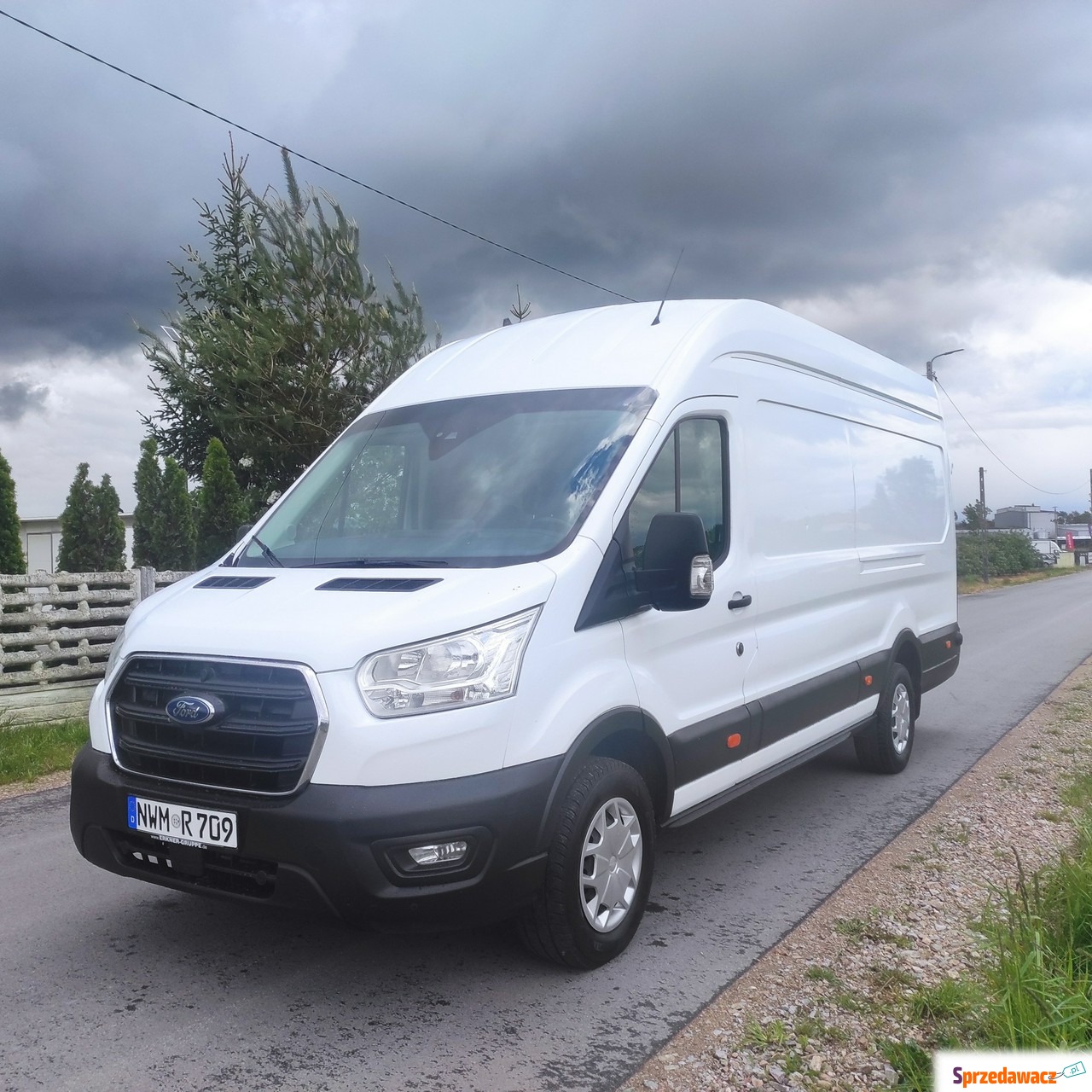 Ford Transit 2019