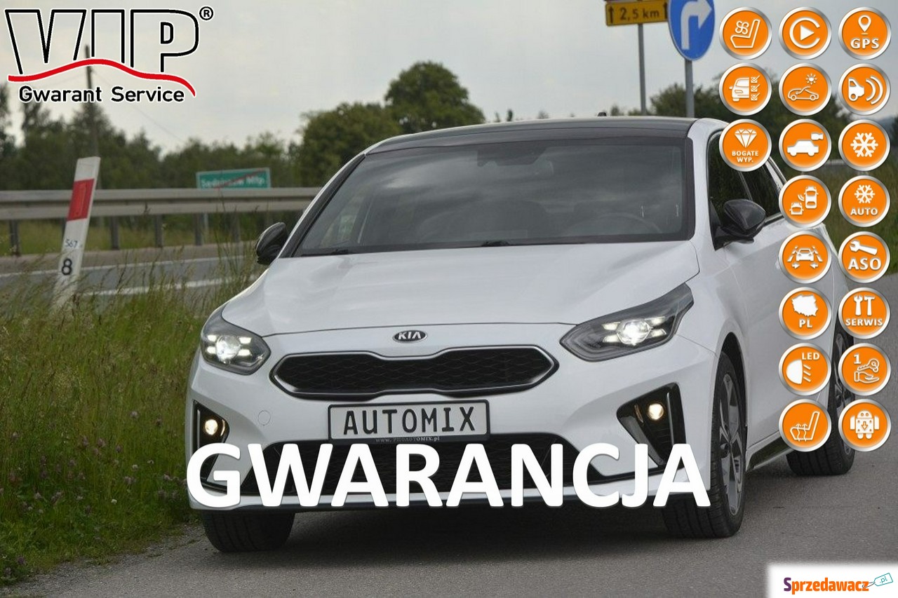 Kia 2019